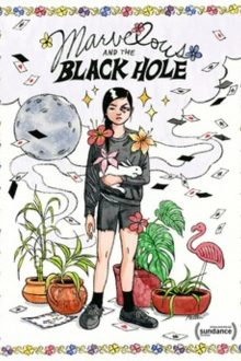 فيلم Marvelous and the Black Hole 2021 مترجم